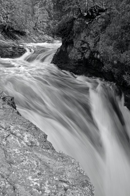 _MG_7712_bw.jpg