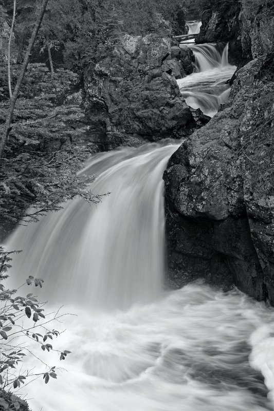 _MG_7735_bw.jpg