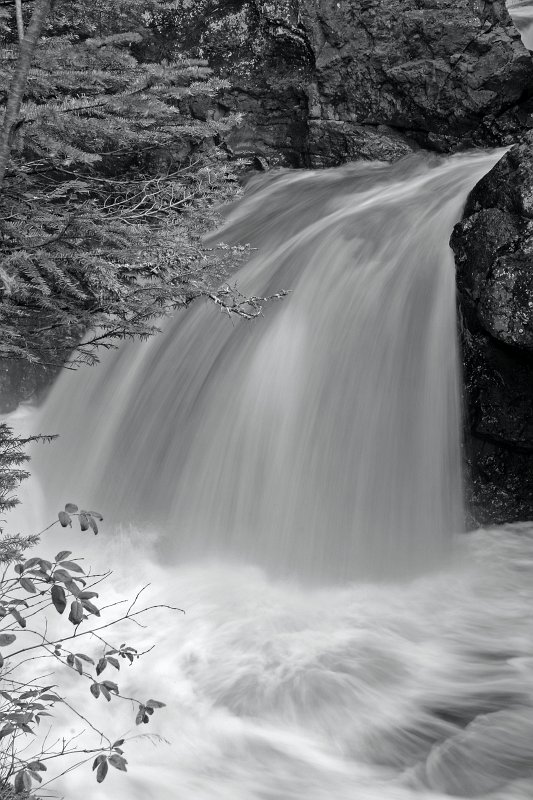 _MG_7743_bw.jpg