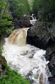 _MG_7696_