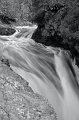 _MG_7712_bw