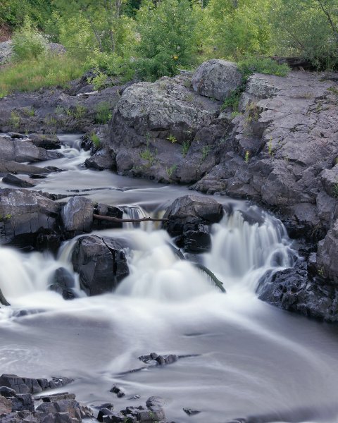_MG_1813_8x10.jpg