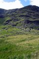 IMG_5631_